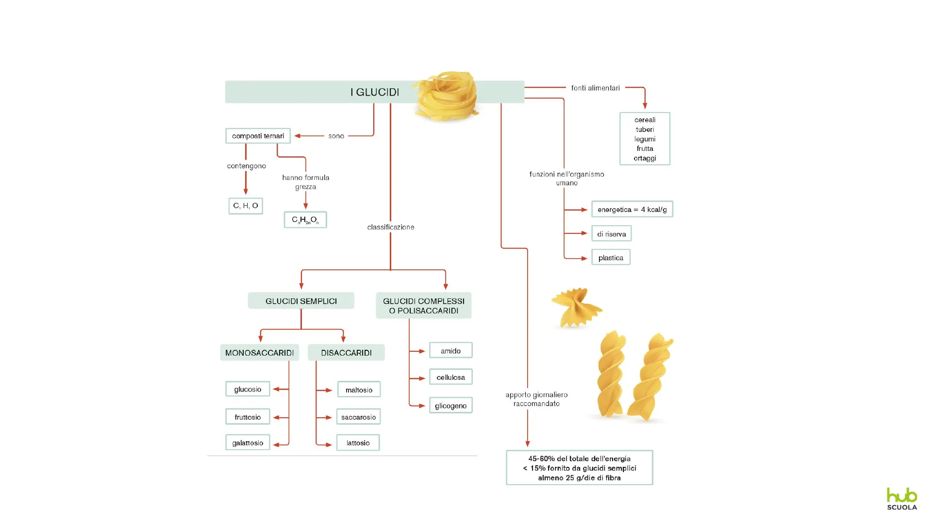Anteprima - Nutrizione e dietologia 2E by zanichelli_editore - Issuu, image size:1920x1080