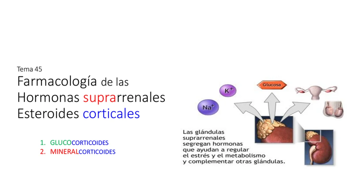 Farmacología Hormonas Suprarrenales Esteroides Corticales | Algor Library