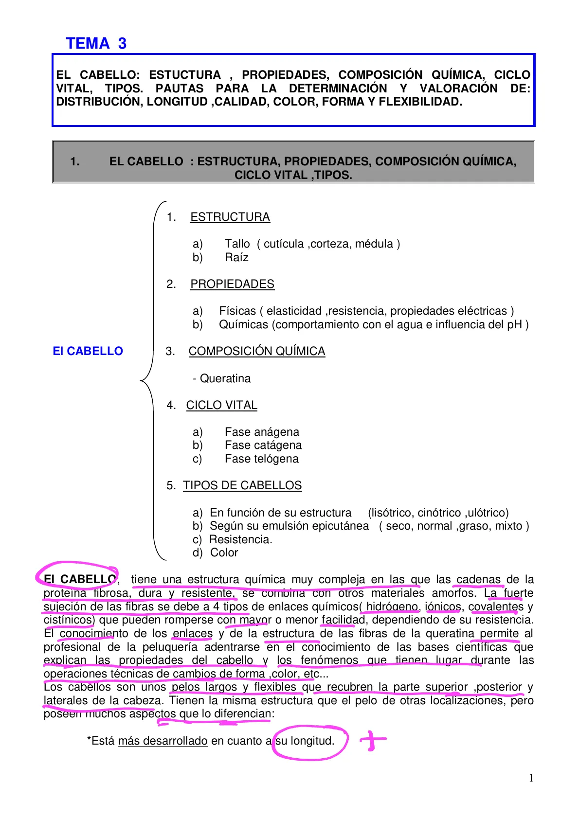 El Cabello, Estructura y Propiedades | Algor Library